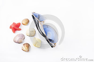 Sunglasses and marine snails. Stock Photo