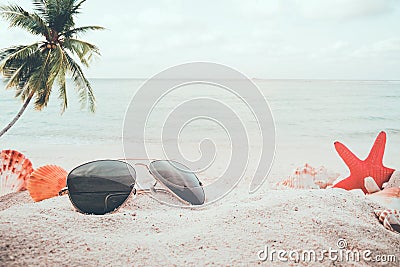 Sunglasses on sandy in seaside summer beach with starfish, shells, coral on sandbar and blur sea background. Stock Photo