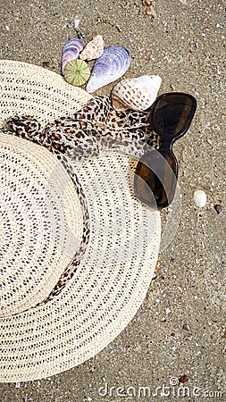 Sunhat, sunglasses and shells on the beach, closeup, Stock Photo