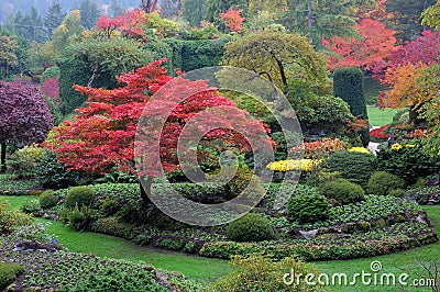 Sunken garden in fall Stock Photo