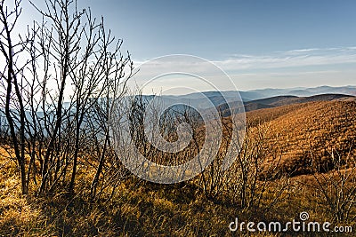 Sunlight autumn in the mountains. Big meadows on the mountain peaks. Stock Photo