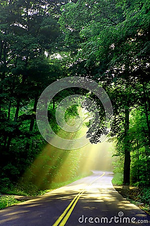 Sunlight on country road Stock Photo