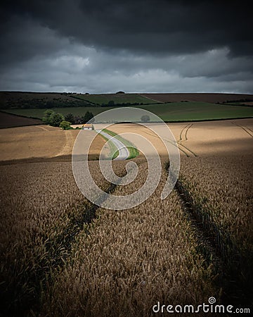 Sunlight crossing over wheat fields in the english countryside Stock Photo