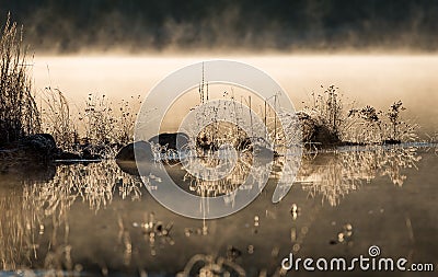 Sunlight glowing on frost coated rocks and grass at water's edge. chilled by overnight November air. Stock Photo