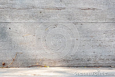 Sunlight at grunge old wood background perspective outdoor wall Stock Photo