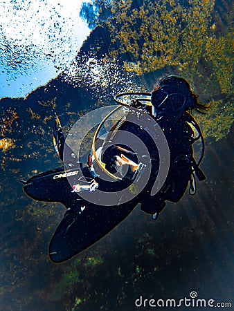 Sunlight illuminates a diver beneath the duckweed at Catfish Hotel in Manatee Springs State Park, Florida Editorial Stock Photo