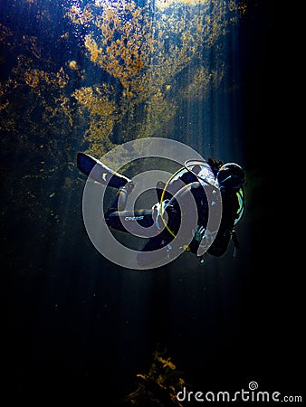 Sunlight illuminates a diver beneath the duckweed at Catfish Hotel in Manatee Springs State Park, Florida Editorial Stock Photo