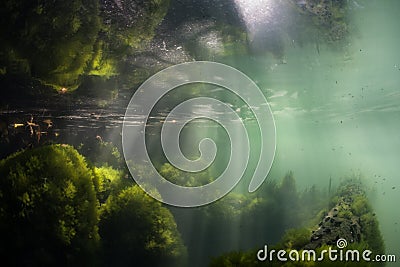 Sunlight Shines on Algae in Marine Lake Stock Photo