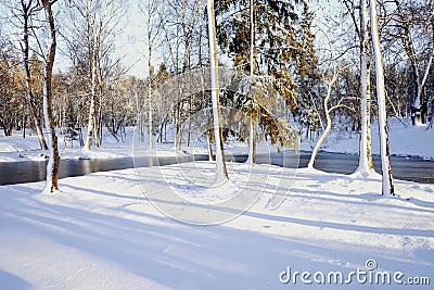winter snow sunlight trees sky park Stock Photo