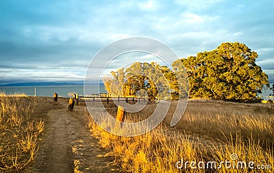 Sunlit fall season nature background with walking path, golden g Stock Photo