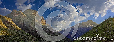 Sunlit Peaks Over Desert Canyon with Saguaro Cacti at golden hour Stock Photo