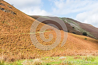Sunlit view of the hillside on Catbells fell in Cumbria Stock Photo