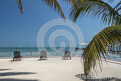 Sunloungers palm tree Caye Caulker Belize Stock Photo