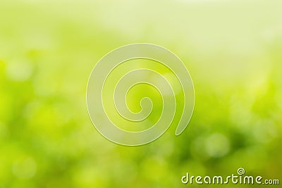 Sunny abstract green nature background Stock Photo