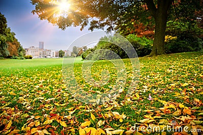 Sunny autumn day in city park Stock Photo