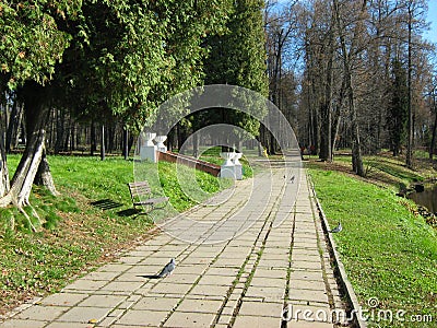 Sunny autumn day in a quiet Suburban Park. Stock Photo