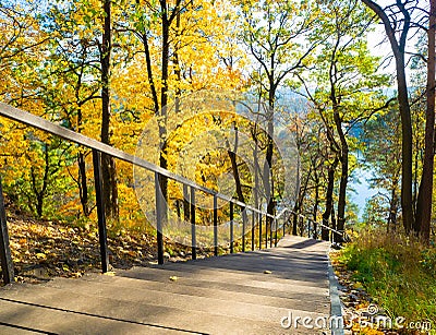 Sunny autumn with yellow trees in Lithuania Stock Photo