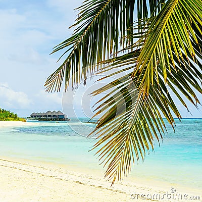 Sunny beach with bungalow views. A fragment of the island of Kuredu. Republic of Maldives Stock Photo