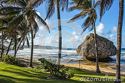 Sunny beach in Martins Bay on Barbados East Coast Stock Photo