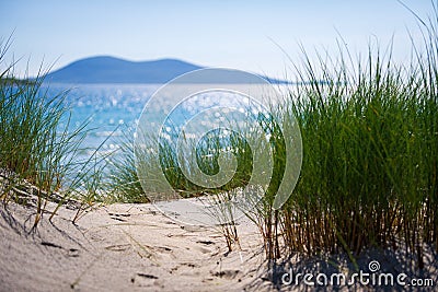 Sunny beach with sand dunes, tall grass and blue sky. Stock Photo