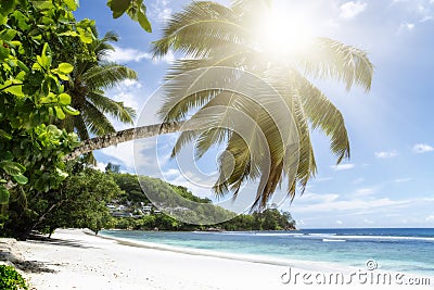 Sunny beach on Saychelles Stock Photo