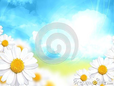 Sunny blue background with daisy flowers Cartoon Illustration