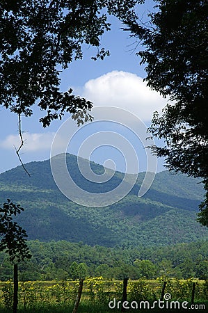 Sunny Cades Cove Stock Photo