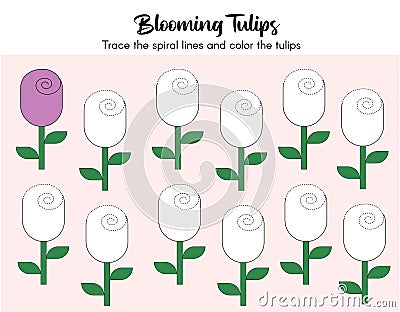 Preschool worksheet, trace the spiral lines and color the tulips. Vector Illustration