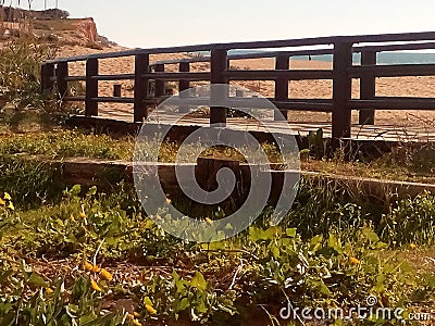 Sunny day on the bech Stock Photo