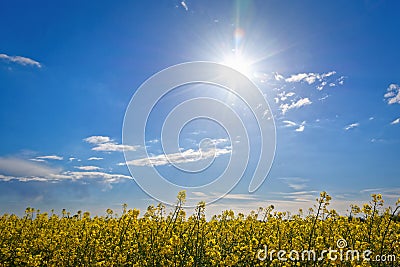 Sunny day Stock Photo