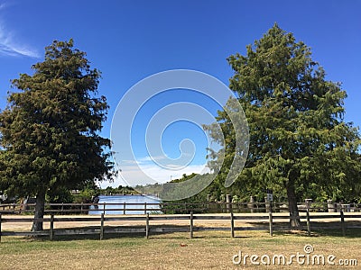 Sunny Day Out Stock Photo