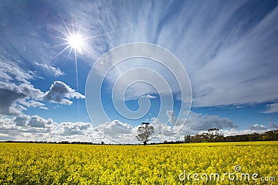 Sunny day Stock Photo