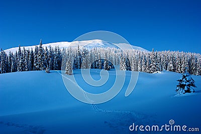 Sunny day in the winter mountains Stock Photo