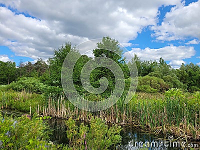 Sunny Days at Strasburg Creek Stock Photo