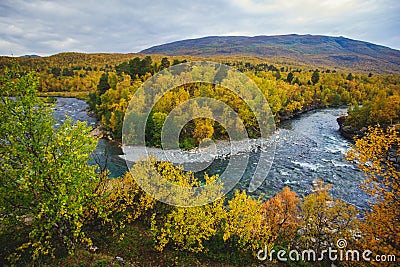Sunny fall autumn view of Abisko National Park, Kiruna Municipality, Lapland, Norrbotten County, Sweden, with Abiskojokk river, Stock Photo