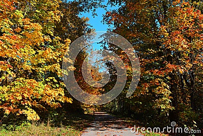 Beautiful and colorful autumn. An alley with fallen leafs Stock Photo