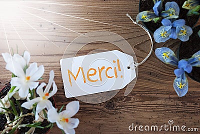 Sunny Flowers, Label, Merci Means Thank You Stock Photo
