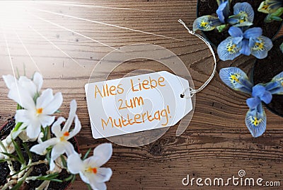 Sunny Flowers, Label, Muttertag Means Mothers Day Stock Photo