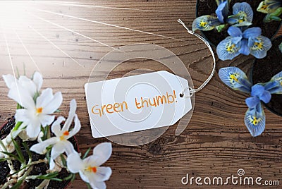 Sunny Flowers, Label, Text Green Thumb Stock Photo
