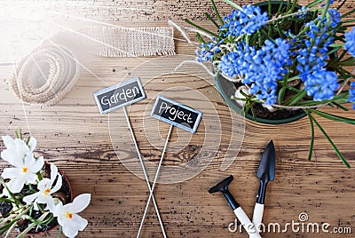 Sunny Flowers, Signs, Text Garden Project, Tools Stock Photo