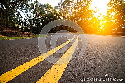 Sunny forest asphalt road curve with marking lines at sunset time. Stock Photo