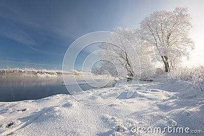 Sunny Frosty Winter Morning. A Realistic Winter Belarusian Landscape With Blue Sky, Trees Covered With Thick Frost, A Small River Stock Photo