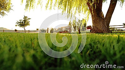 Sunny grassy swinging wooden tree bench fence country Stock Photo