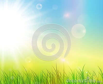 Sunny green background Vector Illustration