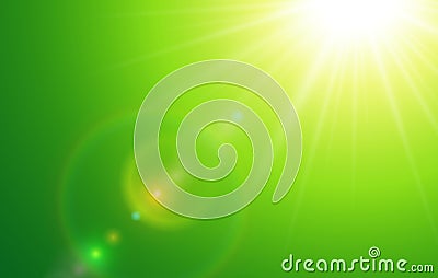 Sunny green natural background, blurry with sun and lens flare Vector Illustration