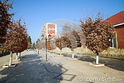 Sunny January Day in the city street. Lankaran, Azerbaijan Stock Photo