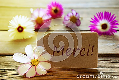 Sunny Label With French Text Merci With Cosmea Blossoms Stock Photo