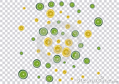 Sunny Lime Background Transparent Vector. Tropical Illustration. Vector Illustration