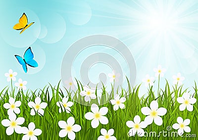 Sunny meadow Vector Illustration