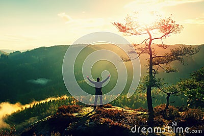 Sunny morning. Happy hiker with hands in the air stand on rock bellow pine tree. Misty and foggy morning valley. Stock Photo